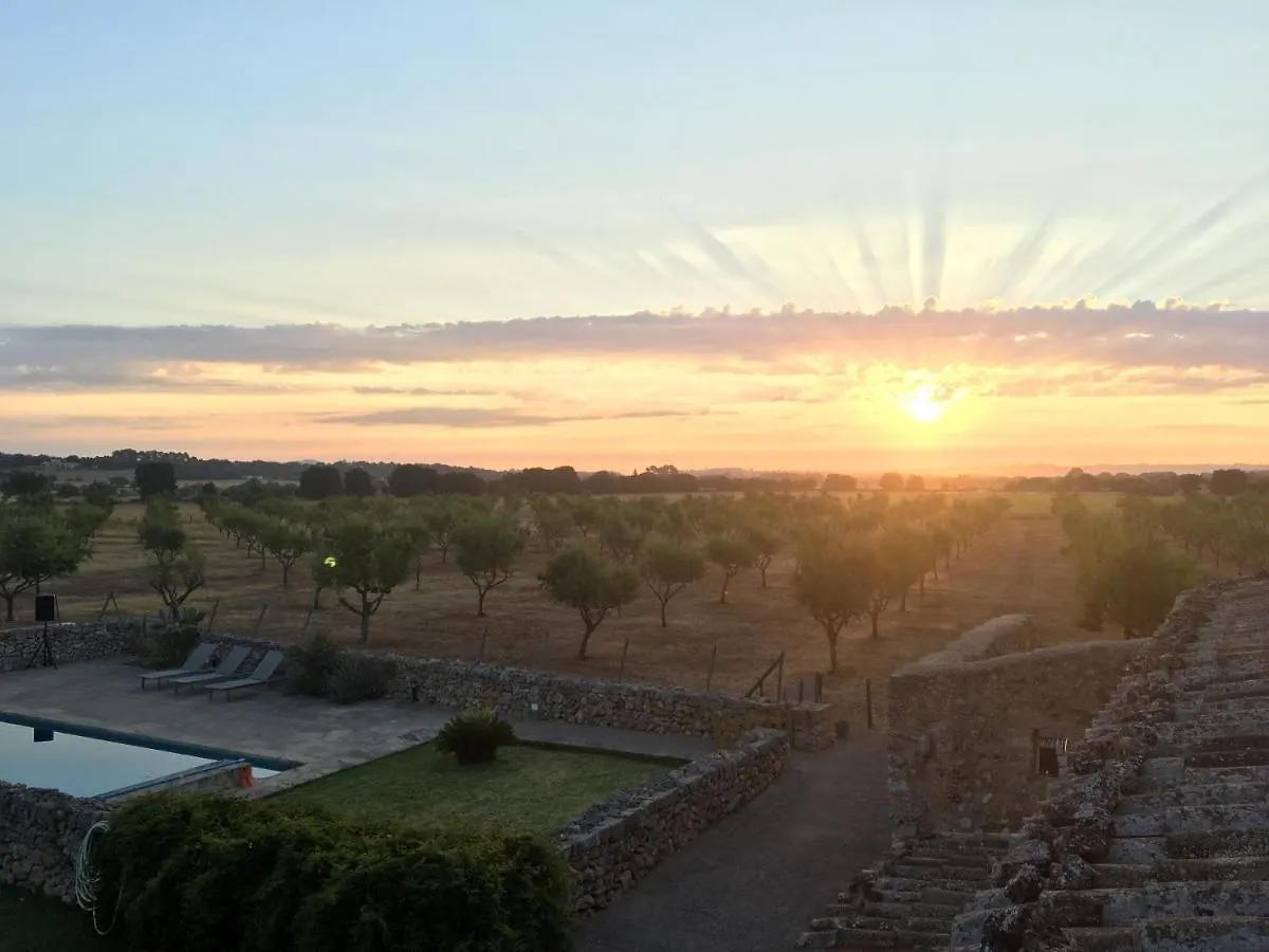 Holiday home Ses Cases D'Alaiar Villa Sencelles