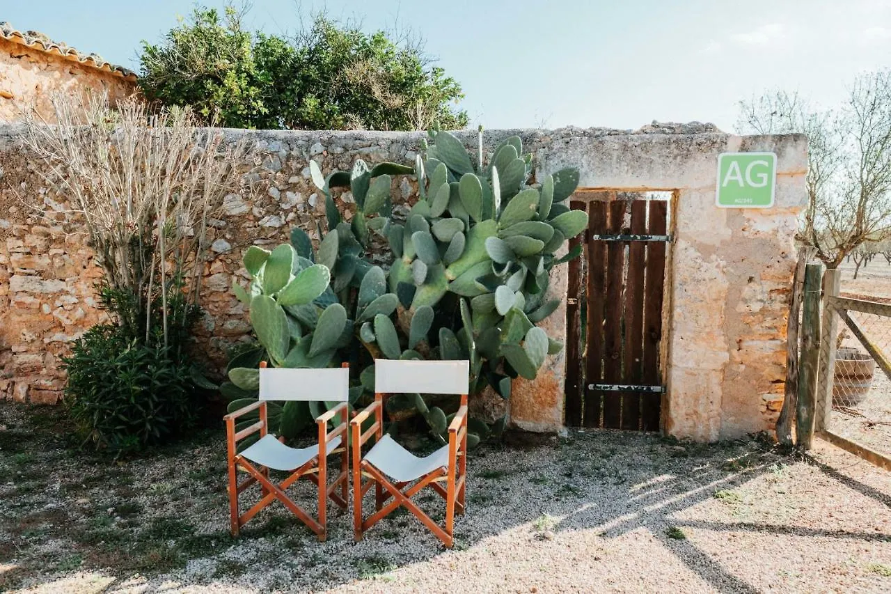 Semesterbostad Ses Cases D'Alaiar Villa Sencelles Spanien